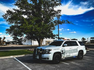PD Unit